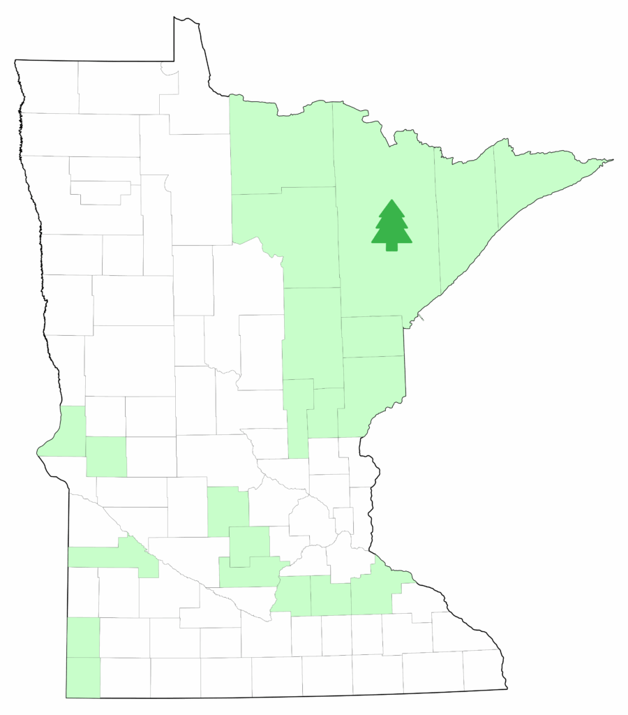 Covered counties in Minnesota